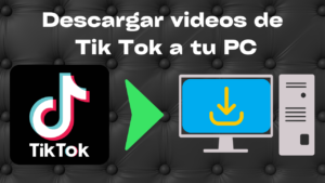 descargar videos de tik tok a pc