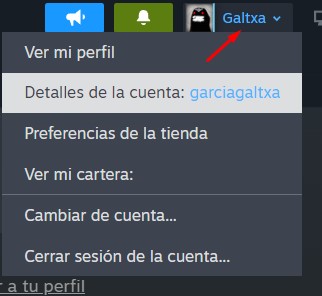 detalles de la cuenta de Steam